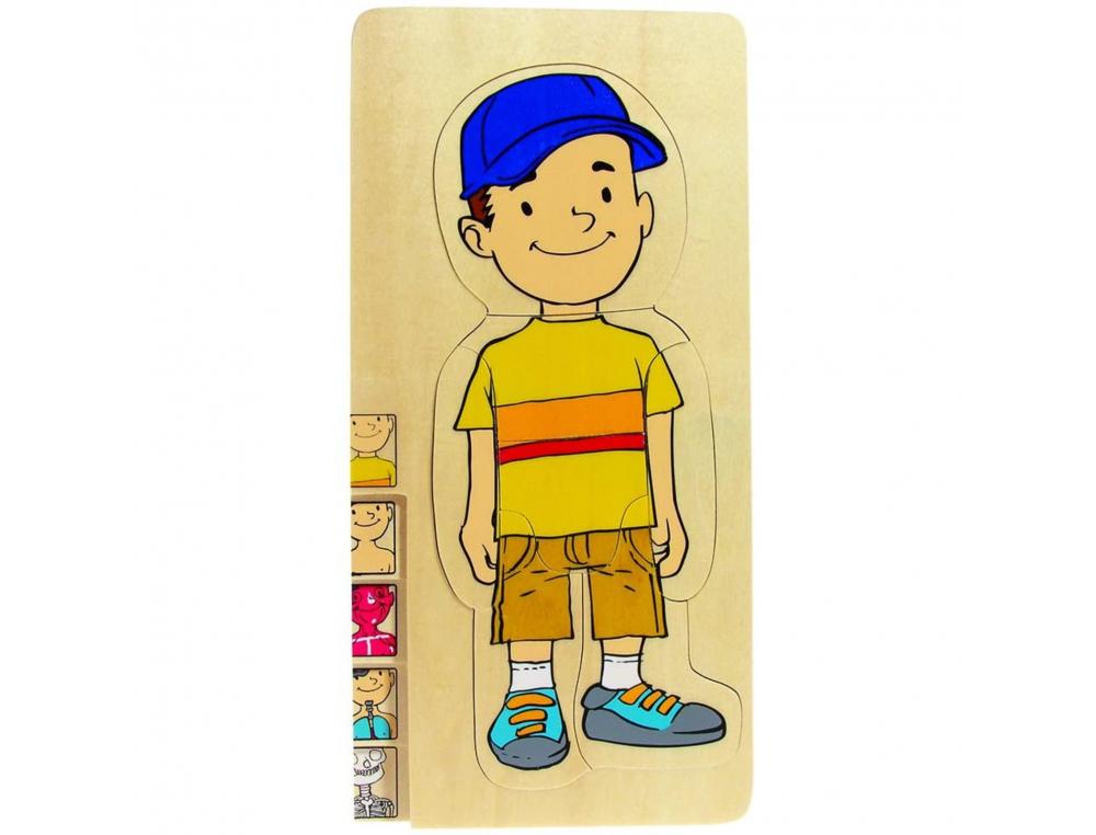 PUZZLE LE CORPS 5 NIVEAUX LE CORPS D UN GARCON MUSCLES     ORGANES SQUELETTE 30 PIECES   ET 1 CADRE EN BOIS